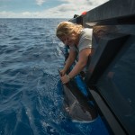 TinaShark