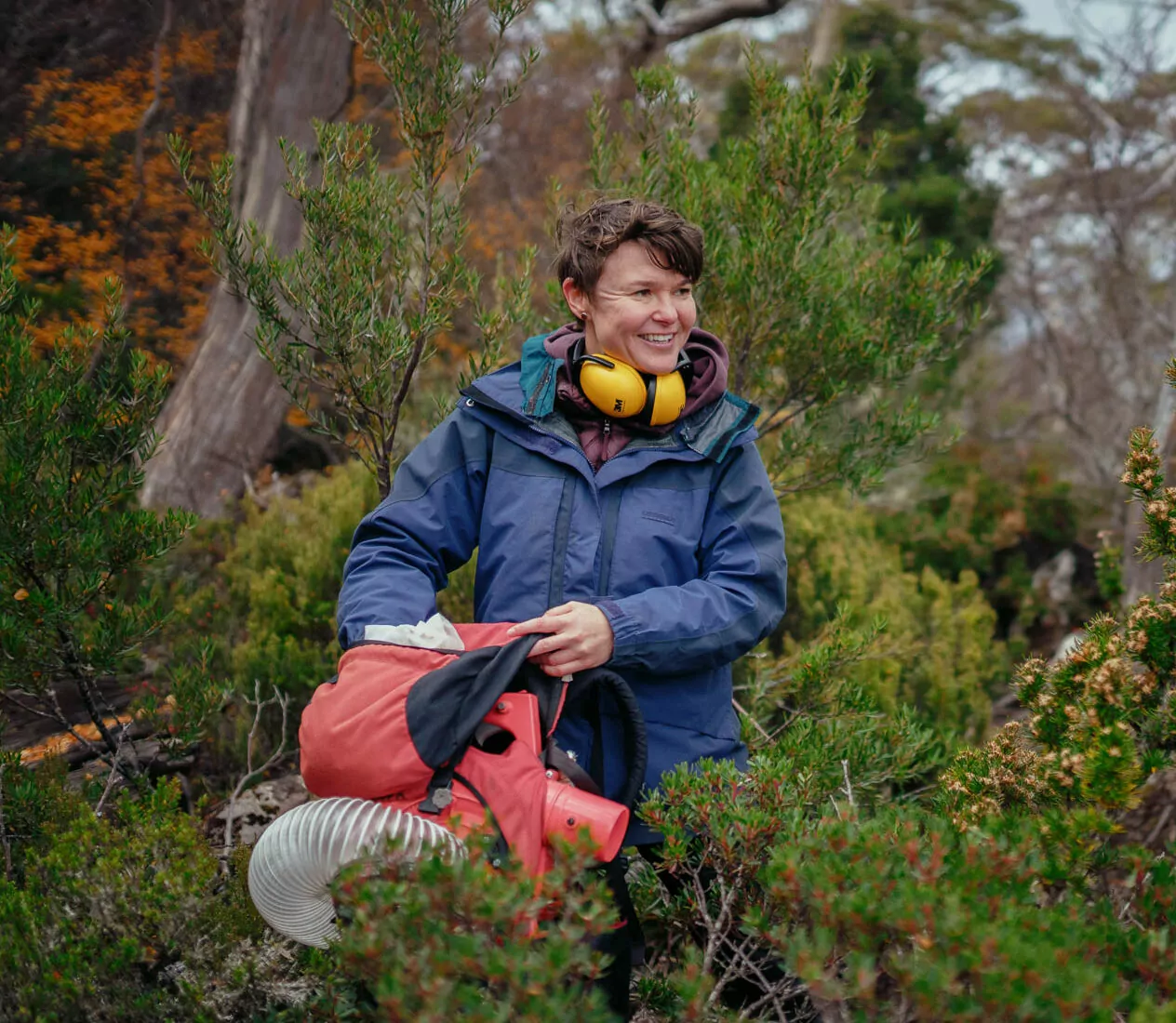 This is a petrol powered bug vacuum! used to collect insect samples from Mount Field National Park (video above)